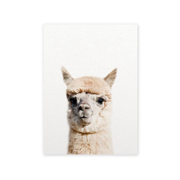 Baby Animal Alpaca Wall Art Canvas Print , Farm Animals Llama Art Canvas Painting Poster For Kids Room Nursery Wall Art Decor