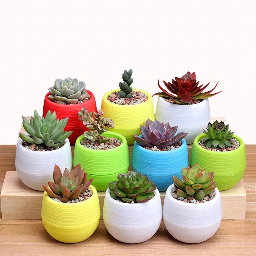 5/10/20pcs Mini Flower Pots for Succulents Small Plants DIY Interchangeable Planters with Drainage Hole Water Reservoir JXB