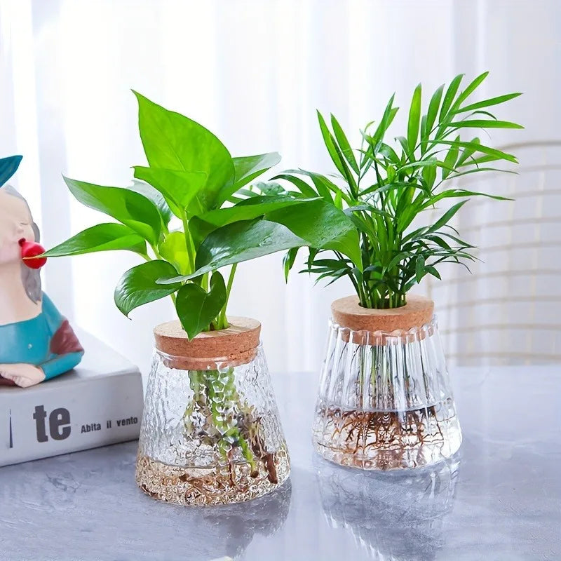 Nordic Glass Hydroponic Vase with Tray - Mini Self-Watering Planter for Tabletop Plants, Simple Home Decor & Gift Idea