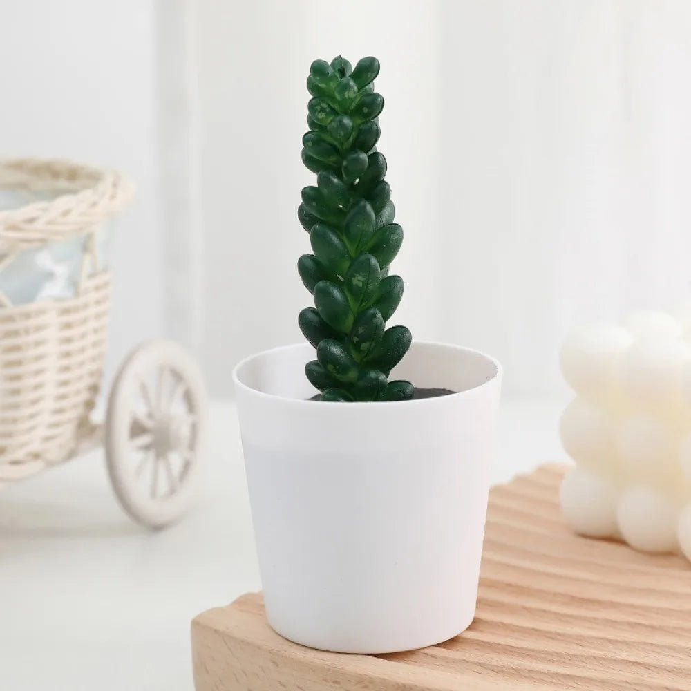 Artificial Succulent Bonsai Plants Simulation Succulents Mini Evergreen Bonsai Cactus Succulent Plastic Fake Plants Decor