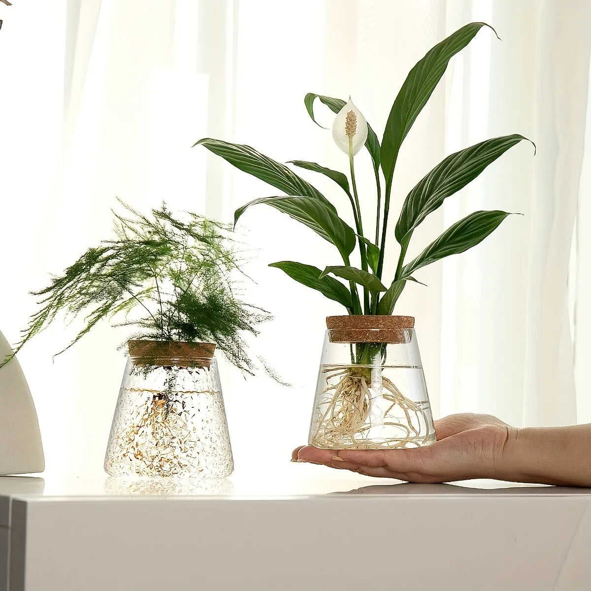 Nordic Glass Hydroponic Vase with Tray - Mini Self-Watering Planter for Tabletop Plants, Simple Home Decor & Gift Idea