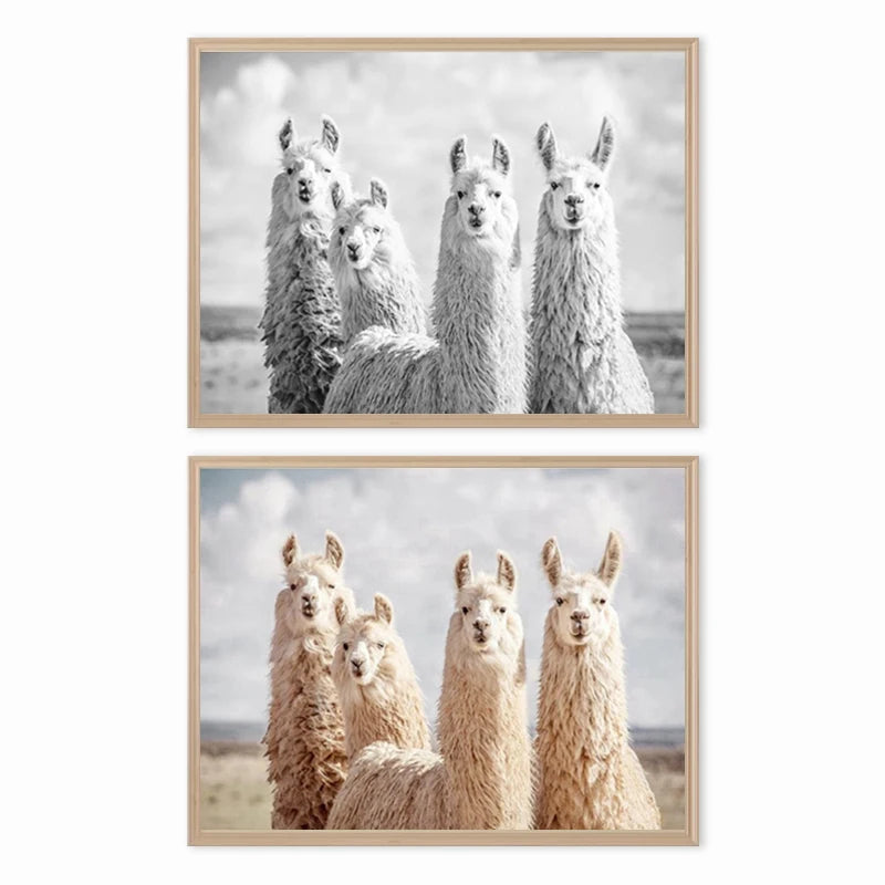 Baby Animal Alpaca Wall Art Canvas Print , Farm Animals Llama Art Canvas Painting Poster For Kids Room Nursery Wall Art Decor