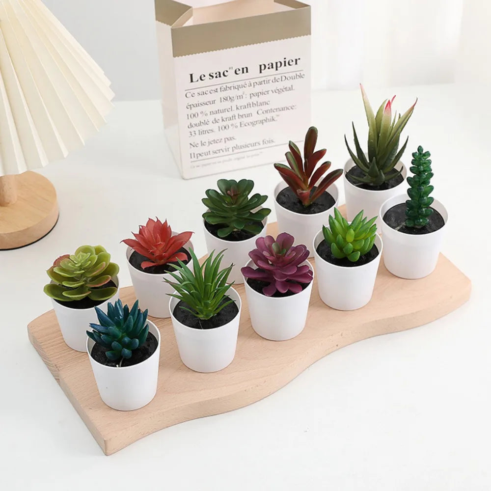 Artificial Succulent Bonsai Plants Simulation Succulents Mini Evergreen Bonsai Cactus Succulent Plastic Fake Plants Decor