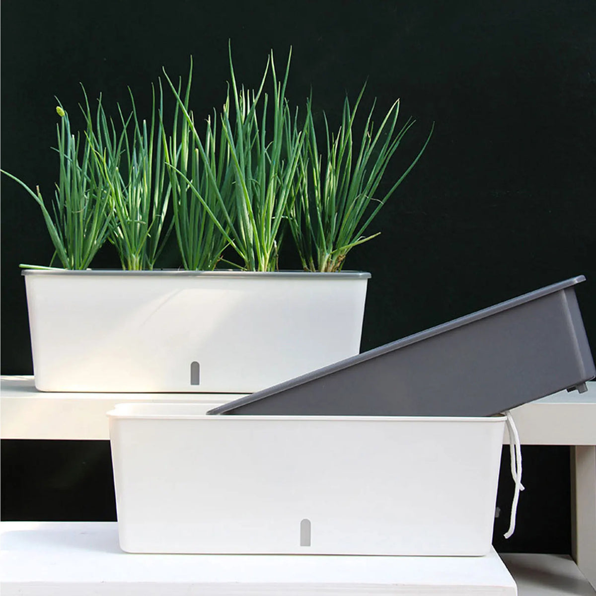 Self-Watering Planter Pots with Handy Water Level Indicator Gift for Friends Families Neighbors