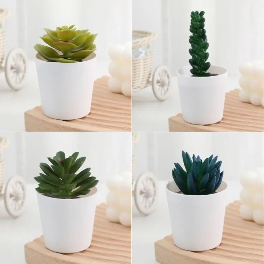 Artificial Succulent Bonsai Plants Simulation Succulents Mini Evergreen Bonsai Cactus Succulent Plastic Fake Plants Decor