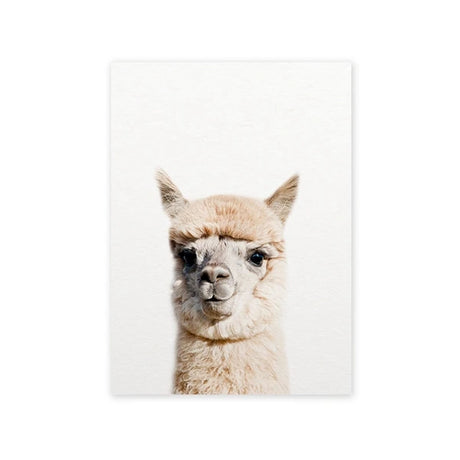 Baby Animal Alpaca Wall Art Canvas Print , Farm Animals Llama Art Canvas Painting Poster For Kids Room Nursery Wall Art Decor