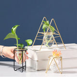 Terrarium Flower Vase For Home Hydroponic Plant Vase Glass Containers Nordic Art Retro Home Garden Craft Ornaments jarrones Hot