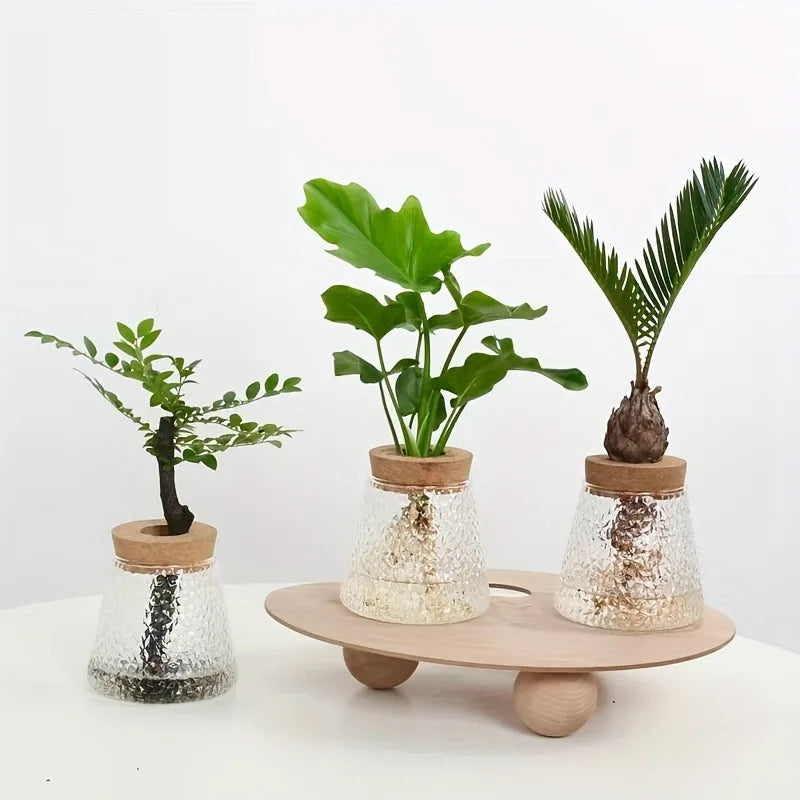 Nordic Glass Hydroponic Vase with Tray - Mini Self-Watering Planter for Tabletop Plants, Simple Home Decor & Gift Idea