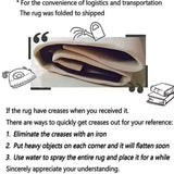 2D Ocean World Long Runner Rug Shark Coral Reef Fish Print Carpet Soft Non-Slip Underwater Adventure Home Decor Hallway Mat