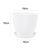 Plastic Flower Pot Succulent Plant Pot with Tray Green Dill Round Double Layer Small Flowerpot Home Office Desktop Decoration