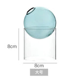 Mini Round Flower Vase Hydroponic Container Micro Landscape Glass Ecological Bottle Borosilicate Glass Bottle With Home Decorate