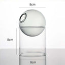 Mini Round Flower Vase Hydroponic Container Micro Landscape Glass Ecological Bottle Borosilicate Glass Bottle With Home Decorate