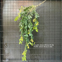 1PC Artificial Hanging Green Plants Fake Rattan Wall Hanging Plastic Vine for Home Garden Restaurant Decoration Soft Landscaping