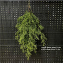 1PC Artificial Hanging Green Plants Fake Rattan Wall Hanging Plastic Vine for Home Garden Restaurant Decoration Soft Landscaping