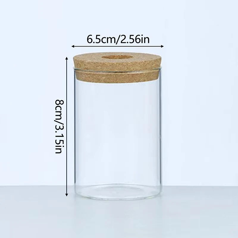 Nordic Glass Hydroponic Vase with Tray - Mini Self-Watering Planter for Tabletop Plants, Simple Home Decor & Gift Idea
