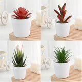 Artificial Succulent Bonsai Plants Simulation Succulents Mini Evergreen Bonsai Cactus Succulent Plastic Fake Plants Decor