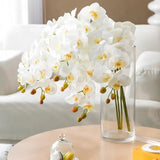 69cm Phalaenopsis Artificial Flower Branches Real Touch Faux Orchid Stems for Floral Arrangement Wedding Party Home Decoration
