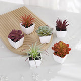 6PCS (SET) Mini Artificial Succulent Green Plant Plastic Wwhite Basin, Home Window Sill, Restaurant Desktop Bookshelf Decoration