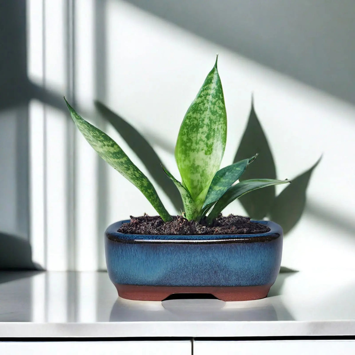 Ceramic Flower Pots with Drain Hole with Vent Design Easy to  for Indoor and Outdoor Plants