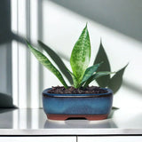 Ceramic Flower Pots with Drain Hole with Vent Design Easy to  for Indoor and Outdoor Plants