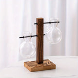 Hydroponic Glass Vase, Vintage Desktop Plant Terrarium Planter Bulb Water Planting Propagation Vase Planters Hydroponics Plants