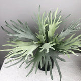 New Artificial Deer Antler Leaves Pteridophyte Artificial Flower Succulents Plants for Home Wedding Outdoor Floor Decoration