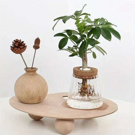 Nordic Glass Hydroponic Vase with Tray - Mini Self-Watering Planter for Tabletop Plants, Simple Home Decor & Gift Idea