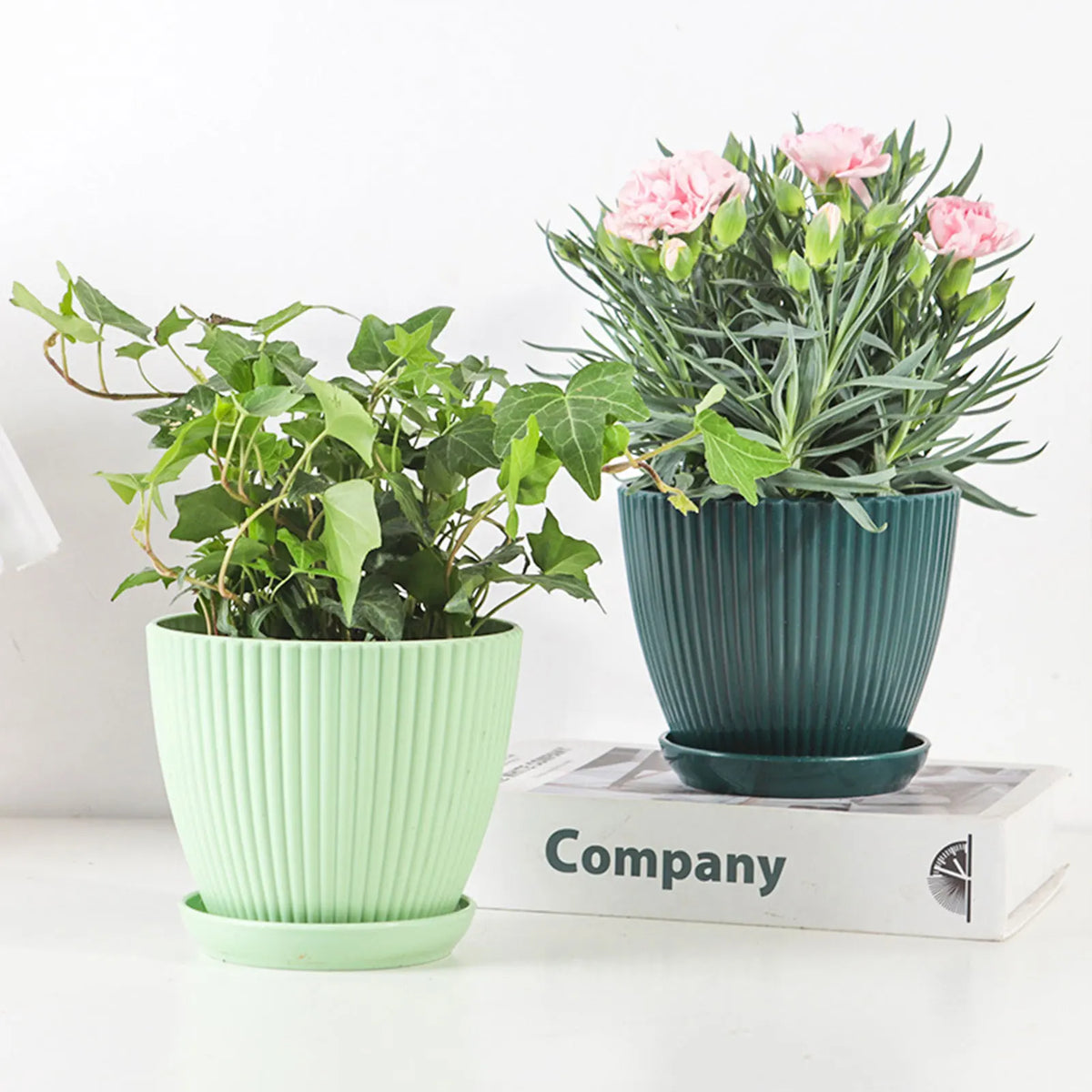 Plastic Flower Pot Succulent Plant Pot with Tray Green Dill Round Double Layer Small Flowerpot Home Office Desktop Decoration