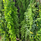 1PC Artificial Hanging Green Plants Fake Rattan Wall Hanging Plastic Vine for Home Garden Restaurant Decoration Soft Landscaping