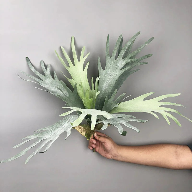 New Artificial Deer Antler Leaves Pteridophyte Artificial Flower Succulents Plants for Home Wedding Outdoor Floor Decoration