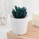 Artificial Succulent Bonsai Plants Simulation Succulents Mini Evergreen Bonsai Cactus Succulent Plastic Fake Plants Decor