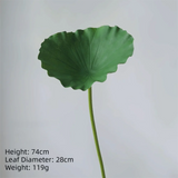 1PC DIY Decoration Artificial Flower New Landscape Long Stem PU Green Plant Artificial Flower Pole Lotus Pod Artificial Lotus