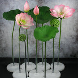 1PC DIY Decoration Artificial Flower New Landscape Long Stem PU Green Plant Artificial Flower Pole Lotus Pod Artificial Lotus