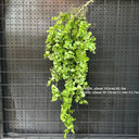 1PC Artificial Hanging Green Plants Fake Rattan Wall Hanging Plastic Vine for Home Garden Restaurant Decoration Soft Landscaping