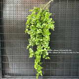 1PC Artificial Hanging Green Plants Fake Rattan Wall Hanging Plastic Vine for Home Garden Restaurant Decoration Soft Landscaping