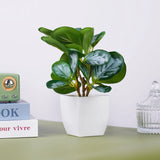 Fake Plants Bonsai Simulation Pot Green Plants Artificial Plants Table Potted Ornaments for Hotel Home Office Room Decoration