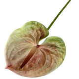1PC DIY Decoration Artificial Flower New Landscape Long Stem PU Green Plant Artificial Flower Pole Lotus Pod Artificial Lotus