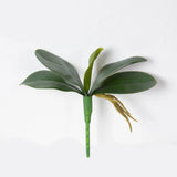 69cm Phalaenopsis Artificial Flower Branches Real Touch Faux Orchid Stems for Floral Arrangement Wedding Party Home Decoration