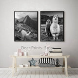 Baby Animal Alpaca Wall Art Canvas Print , Farm Animals Llama Art Canvas Painting Poster For Kids Room Nursery Wall Art Decor