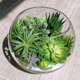 12pcs PVC Succulents Plants Green Faux Succulent Plant for Home Garden Small Bonsai Decor Flower Desktop Plants