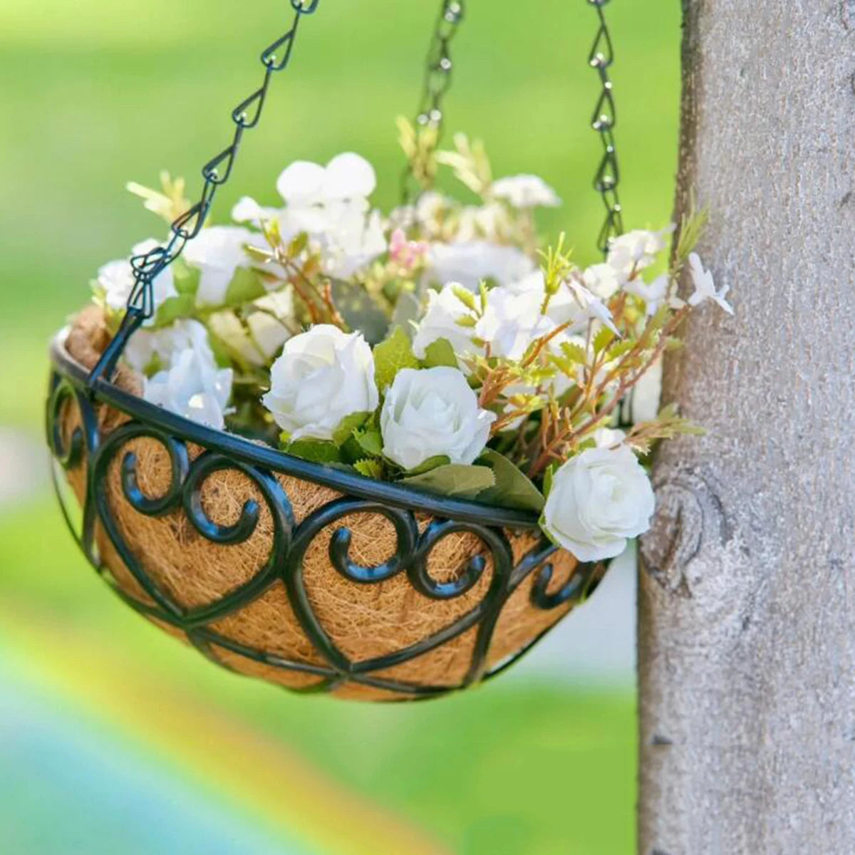 Coconut Brown Round Iron Chain Hanging Basket Flowerpot European Creative Fleshy Green Plant Chlorophytum Comosum Flowerpot