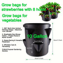Hanging Grow Bags for Strawberries Tomatoes Hanging Planting Grow Bag Vertical Garden  Strawberry Planter Pot Aeroponic Tower
