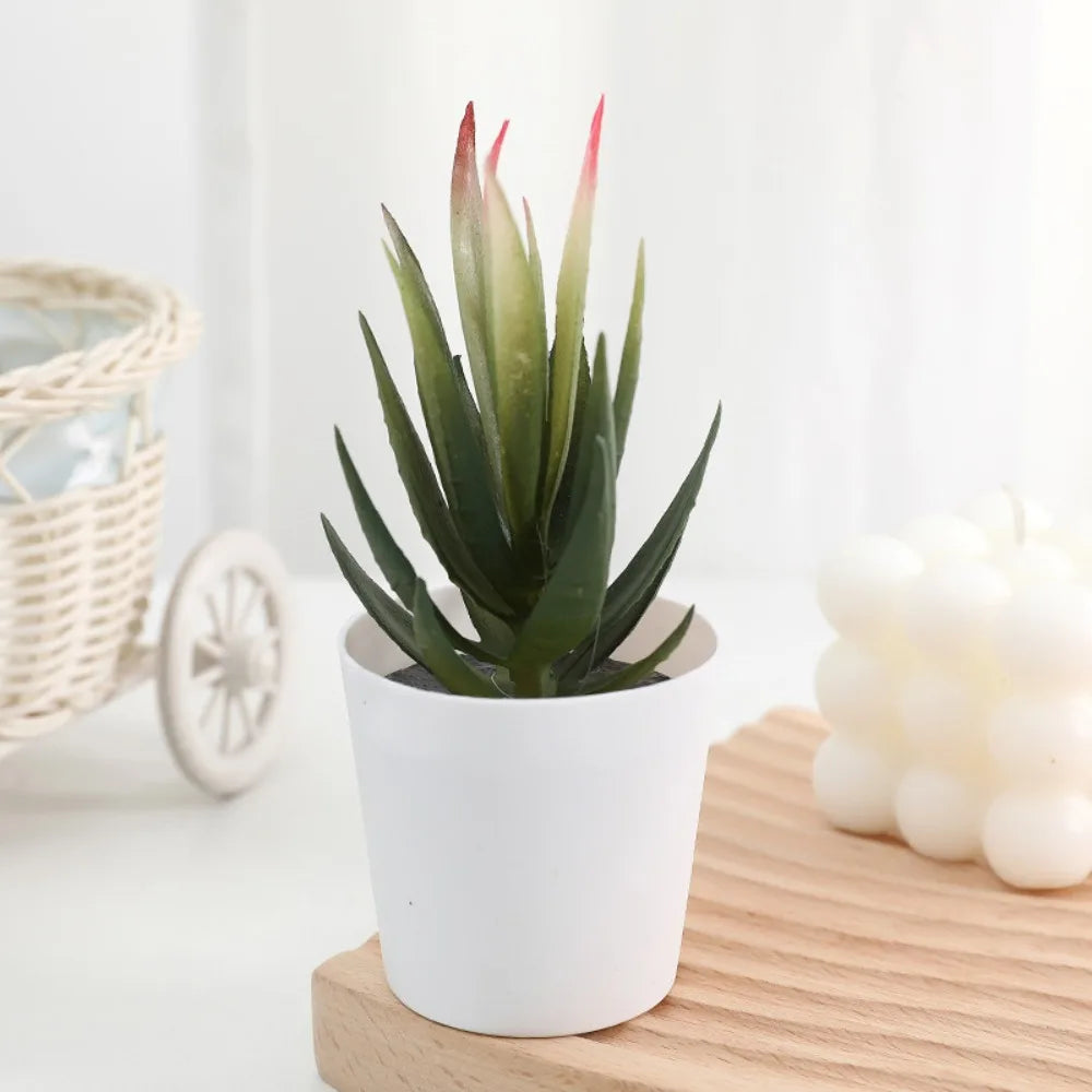 Artificial Succulent Bonsai Plants Simulation Succulents Mini Evergreen Bonsai Cactus Succulent Plastic Fake Plants Decor