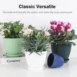 Plastic Flower Pot Succulent Plant Pot with Tray Green Dill Round Double Layer Small Flowerpot Home Office Desktop Decoration