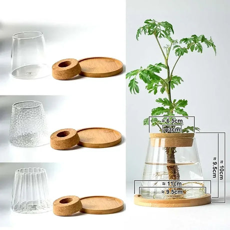 Nordic Glass Hydroponic Vase with Tray - Mini Self-Watering Planter for Tabletop Plants, Simple Home Decor & Gift Idea