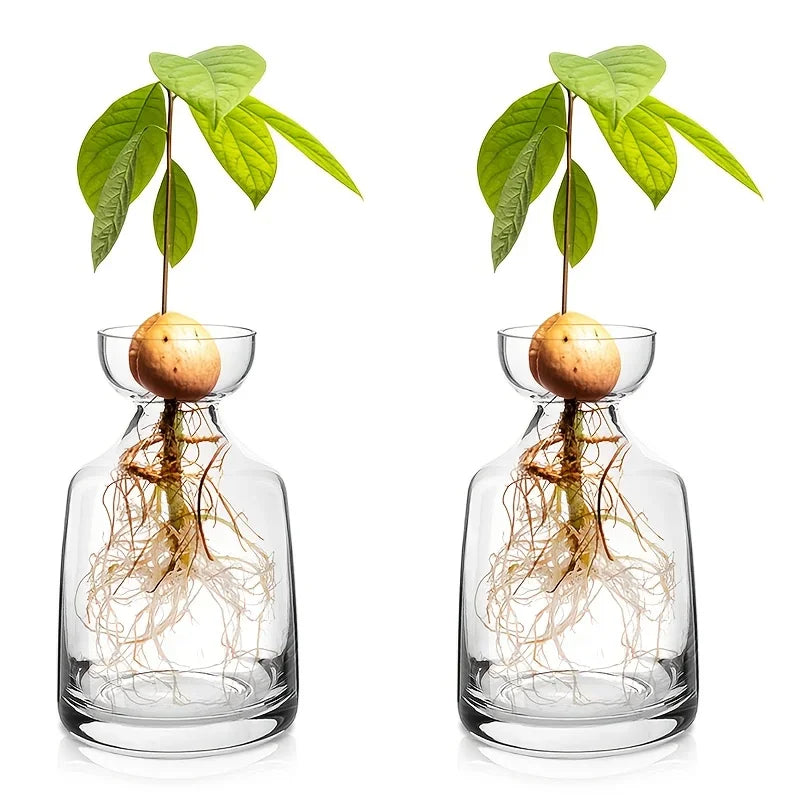 Two-piece Avocado Seed Starter Vase - Grow Your Own Avocado Tree Unique Glass Planting Pot for Gardening Lovers Start Your Green