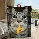 Cute cartoon funny cat meme abstract Flannel warm comfort soft plush blanket for sofa living room hogar bedroom travel gift home