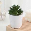 Artificial Succulent Bonsai Plants Simulation Succulents Mini Evergreen Bonsai Cactus Succulent Plastic Fake Plants Decor