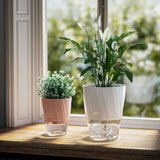 Transparent Double Layer Self Watering Planter, Automatic Water Absorbing Hydroponic Flower Pot for Office Decor