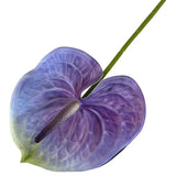 1PC DIY Decoration Artificial Flower New Landscape Long Stem PU Green Plant Artificial Flower Pole Lotus Pod Artificial Lotus